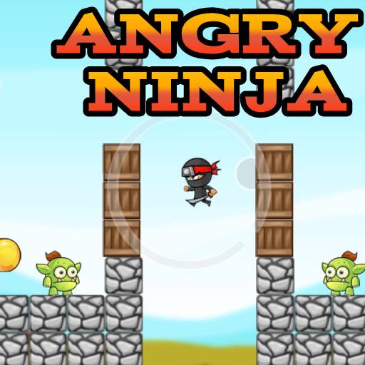 angry ninja