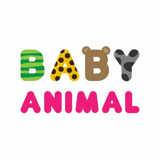 baby animal