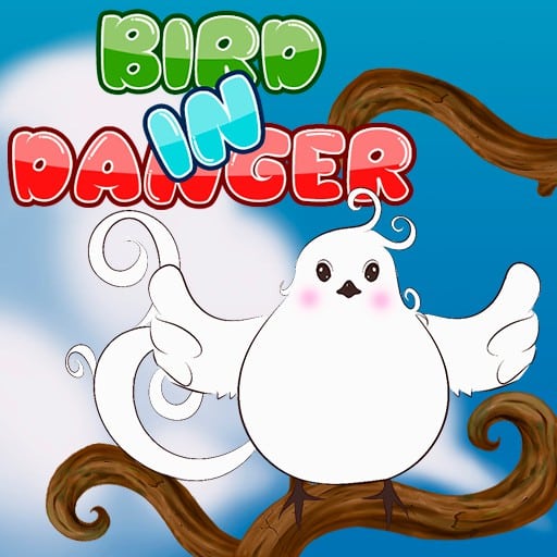 bird in danger