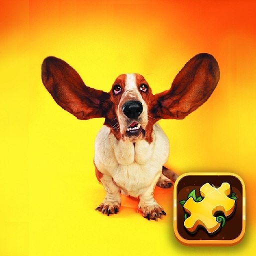 funny dogs puzzle