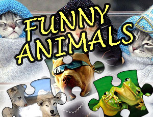 jigsaw puzzle funny animals