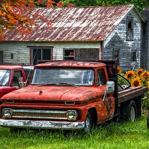 old rusty cars differences 2