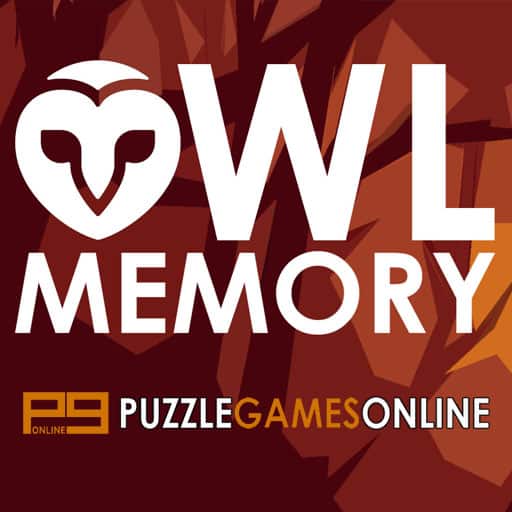 owl memory