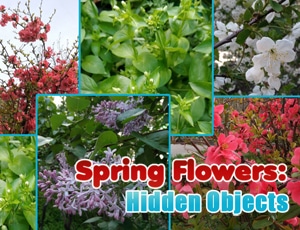 spring flowers hidden objects